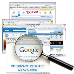 search engine optimization = optimizare motoare de cautare